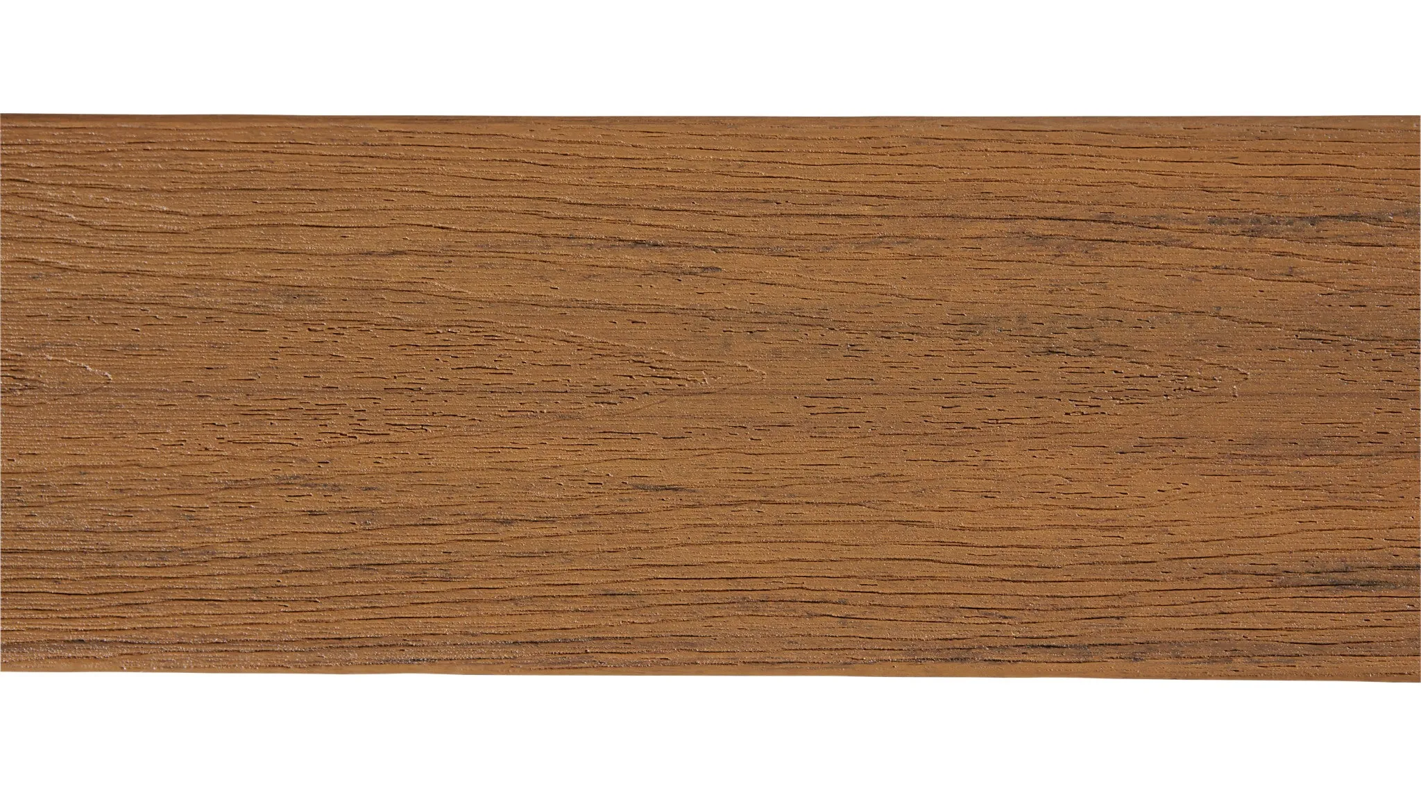 Moringa view 5