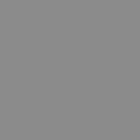 Silver swatch